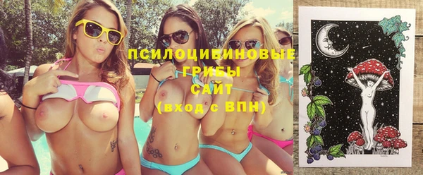 бошки Медногорск