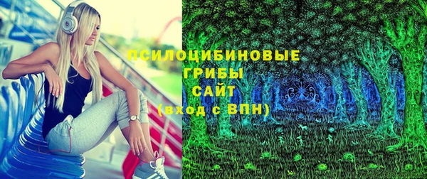 бошки Медногорск