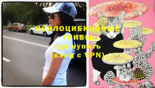 прущая мука Медвежьегорск