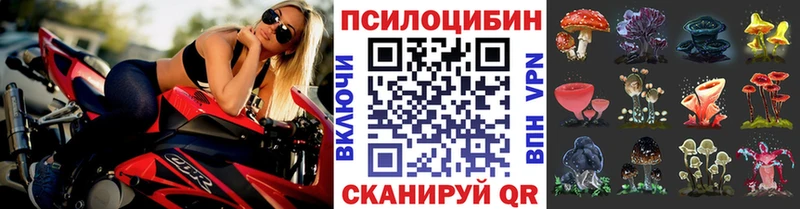 дарнет шоп  Усолье  Псилоцибиновые грибы Psilocybine cubensis 