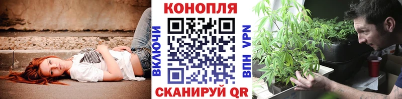 купить Усолье Конопля ГИДРОПОН